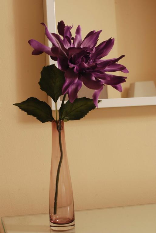 Avondale Guest Accommodation Waterford Camera foto